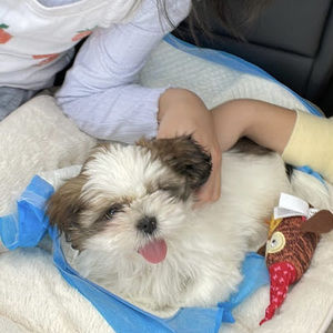 Meet your Posher, Madi